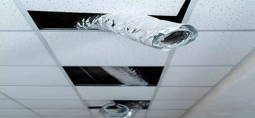 Affordable HVAC Sanitizing After Pest Removal in Wooster