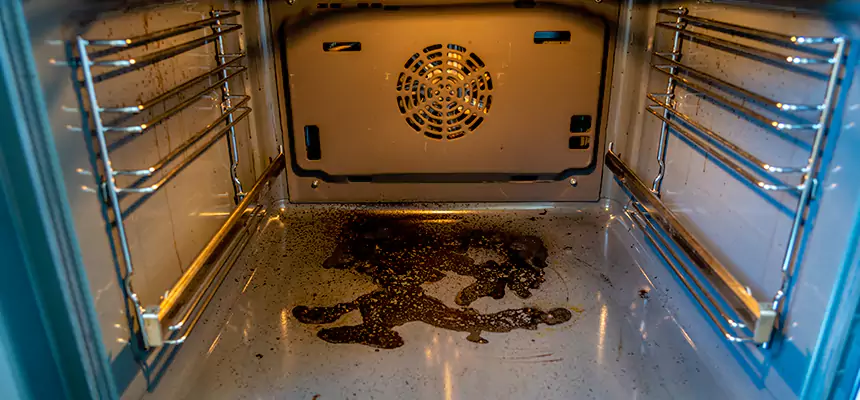 Our Dryer Vent Mold Cleaning Services in Wooster, OH