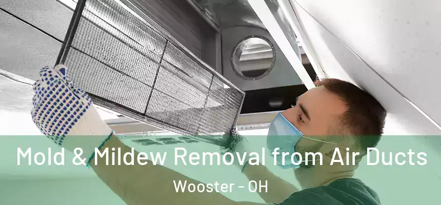  Mold & Mildew Removal from Air Ducts Wooster - OH