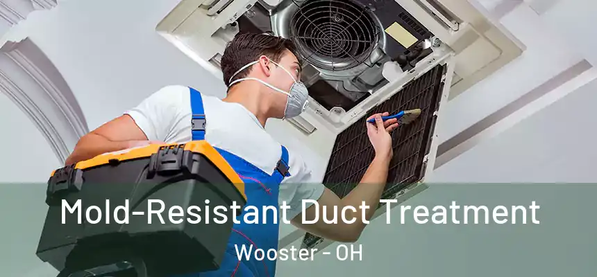  Mold-Resistant Duct Treatment Wooster - OH