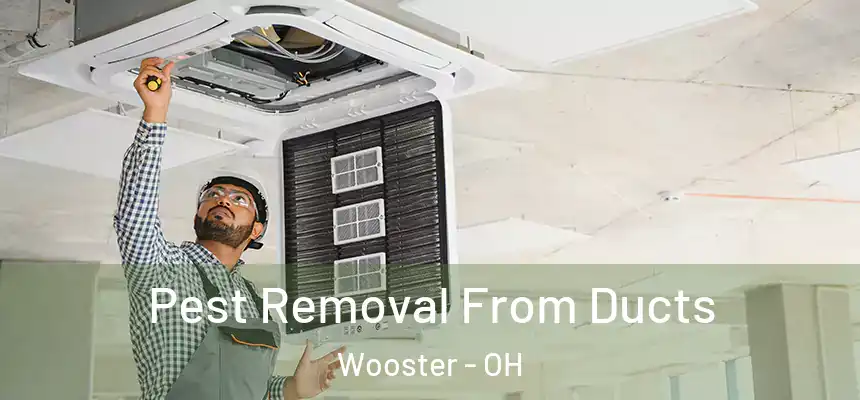  Pest Removal From Ducts Wooster - OH