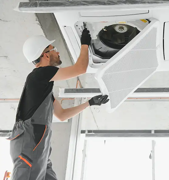 About Air Duct Rodent Removal in Wooster, OH