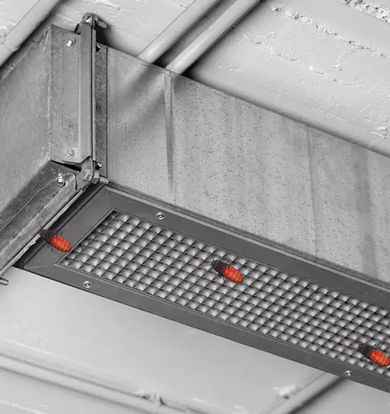 Affordable Insect Removal from Air Ducts in Wooster, OH