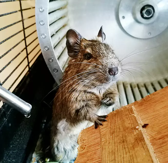 Why Homeowners & Businesses Trust Us Wooster, OH